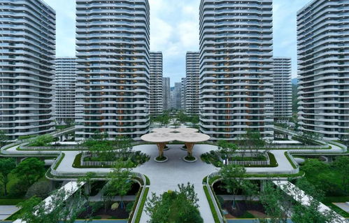 大家房產(chǎn) 穩(wěn)健發(fā)展穿越行業(yè)波動,產(chǎn)品向新助力韌性前行